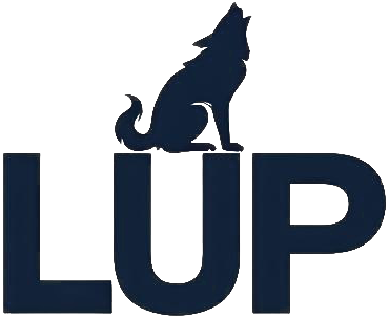 茨城で防犯カメラ設置ならLUP｜家庭に寄り添う防犯コンサルタント